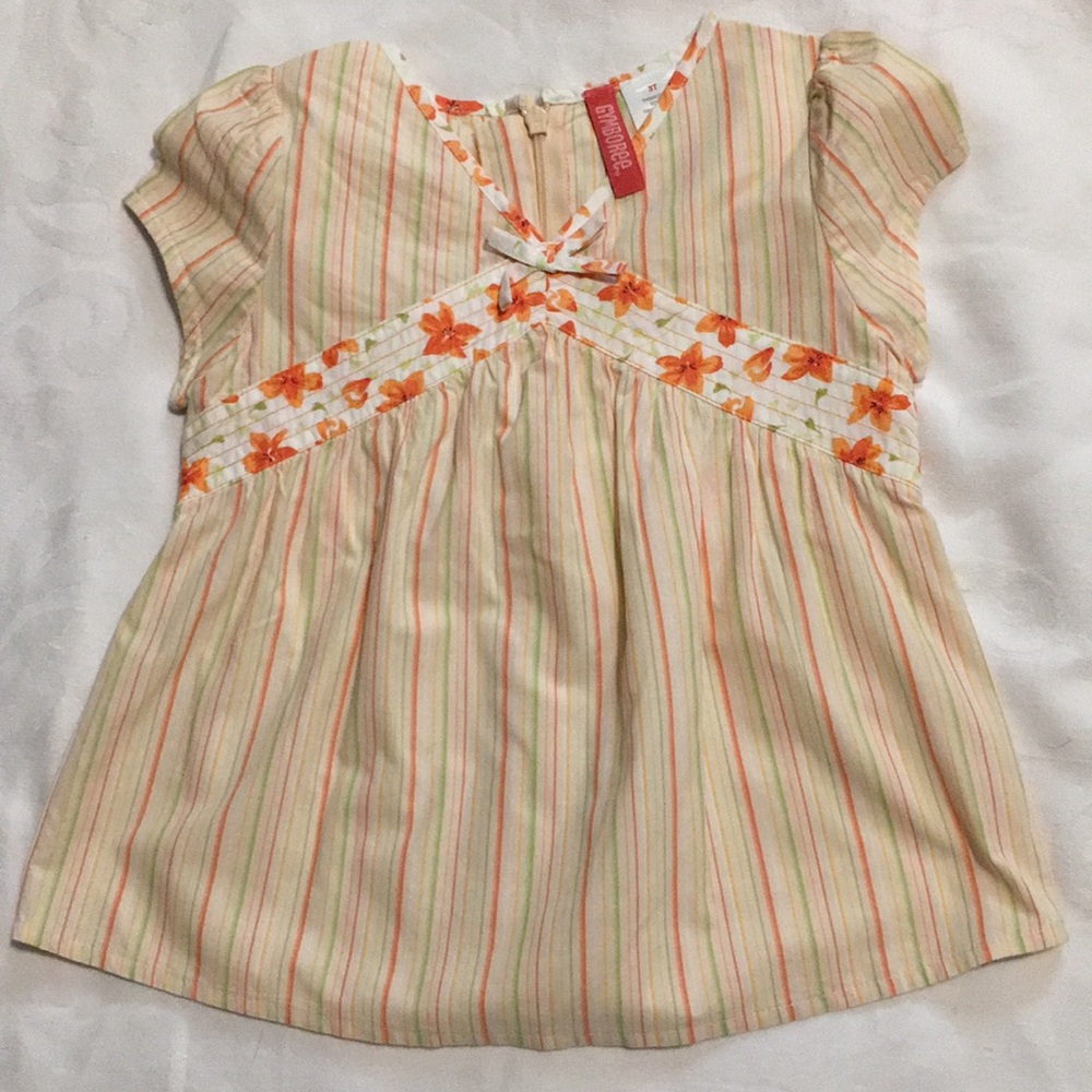 Vintage Gymboree Wildflower Fields striped top Sz 3T